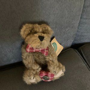 Boyds "Sheldon Bearchild" with tags